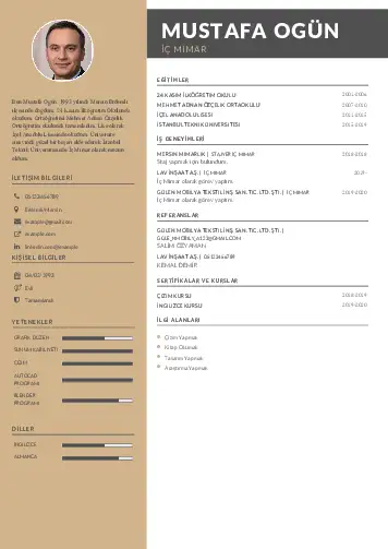 cv indir